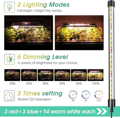 Green 4 Set