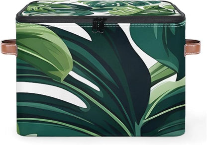 Green Monstera