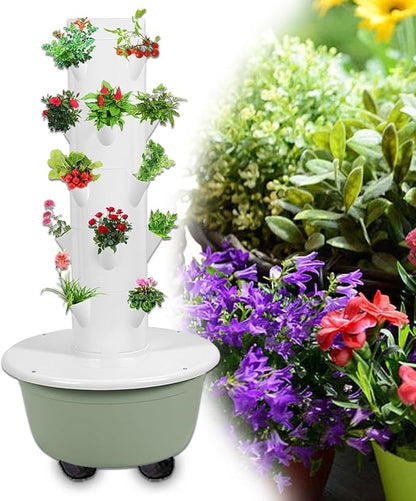 A(20pots)