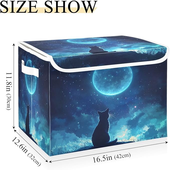 Black Cat Cosmic Dreamy