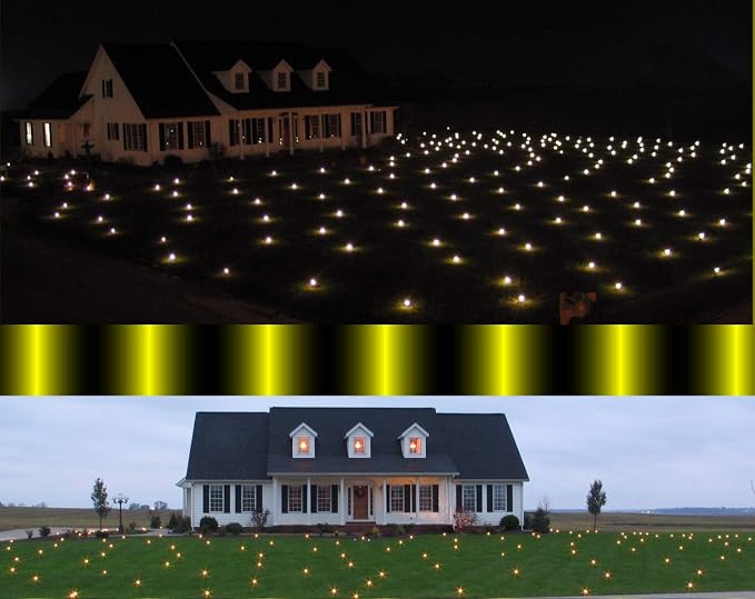 Fireflies