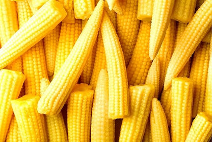 Japanese Mini Corn
