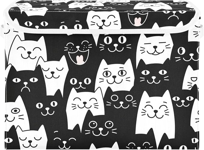 Black Cat