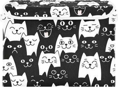Black Cat