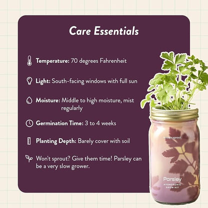 Parsley