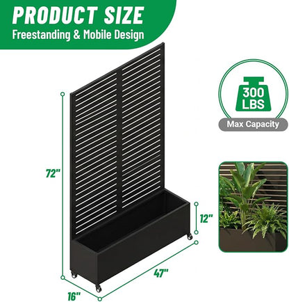 Black Blinds