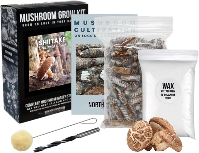 Shiitake