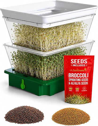 2-tier Sprouter with Seeds