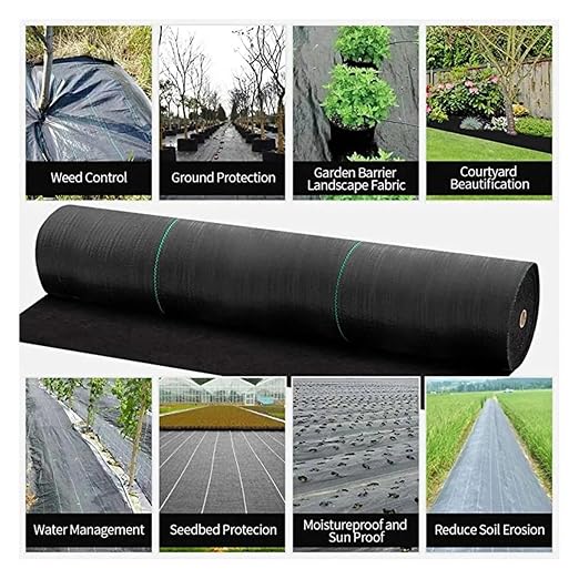1x10M
