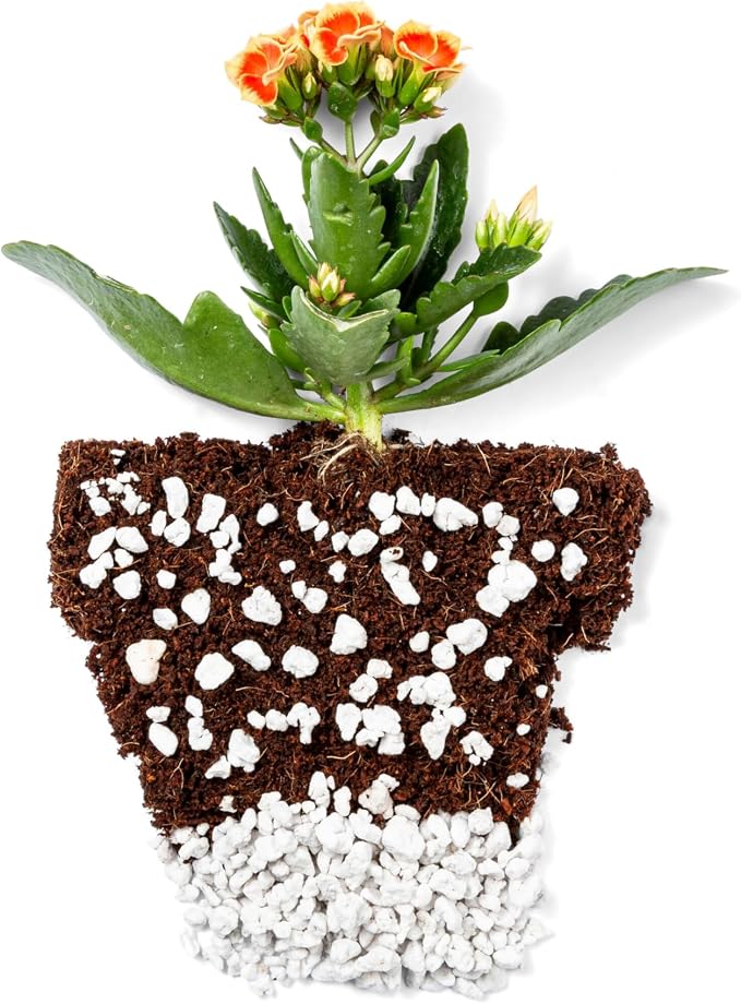 Perlite Bliss (16 Qts)