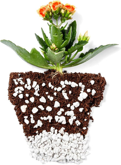 Perlite Bliss (16 Qts)