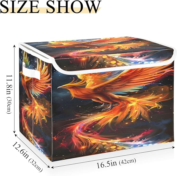 Beautiful Phoenix