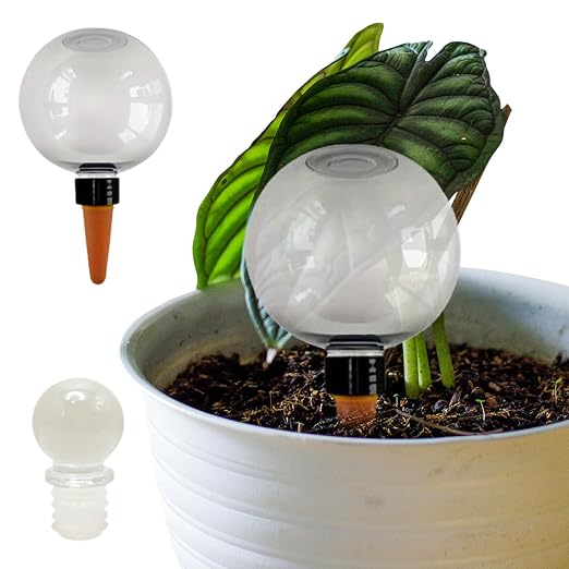Transparent 1pcs