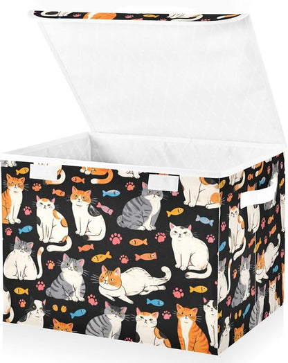 Black Orange Cat