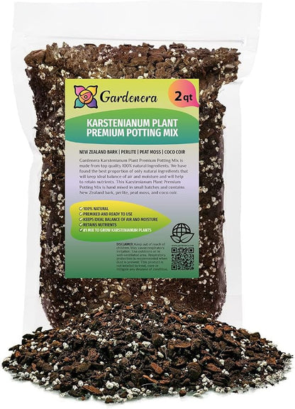 Monstera Karstenianum Soil Mix