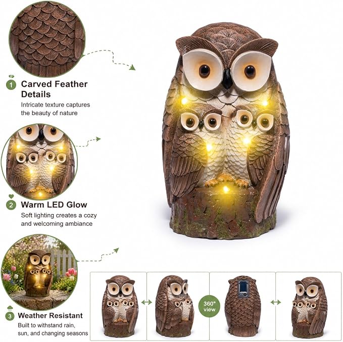 Owl Family