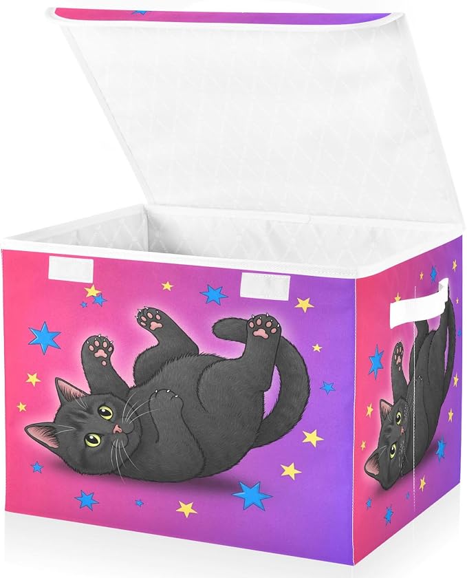 Starry Black Cat