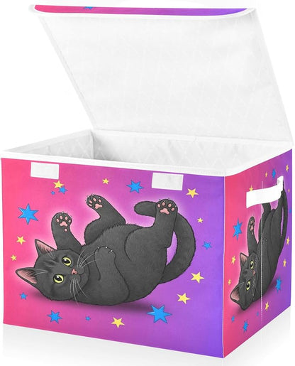 Starry Black Cat