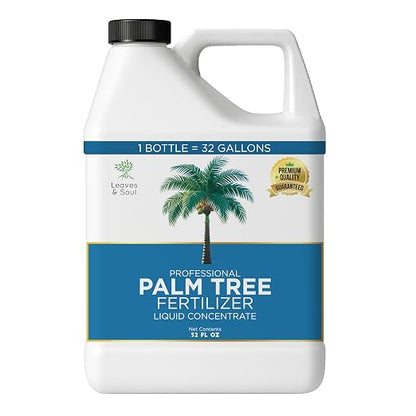 Palm Tree
