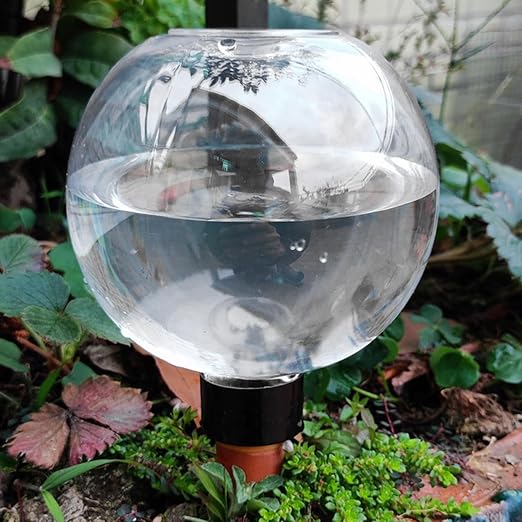 Transparent 1pcs