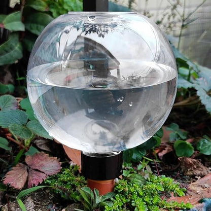 Transparent 1pcs