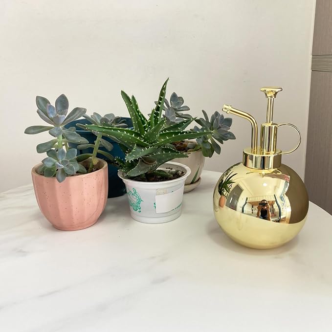 17oz/Gold color
