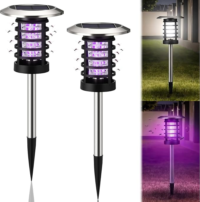 Purple & White Light