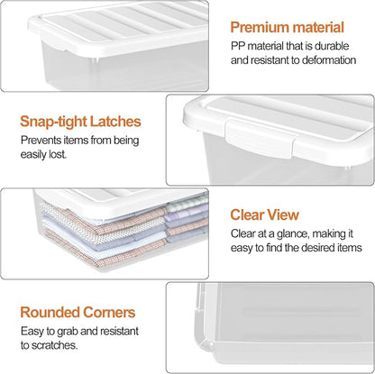 White Lid