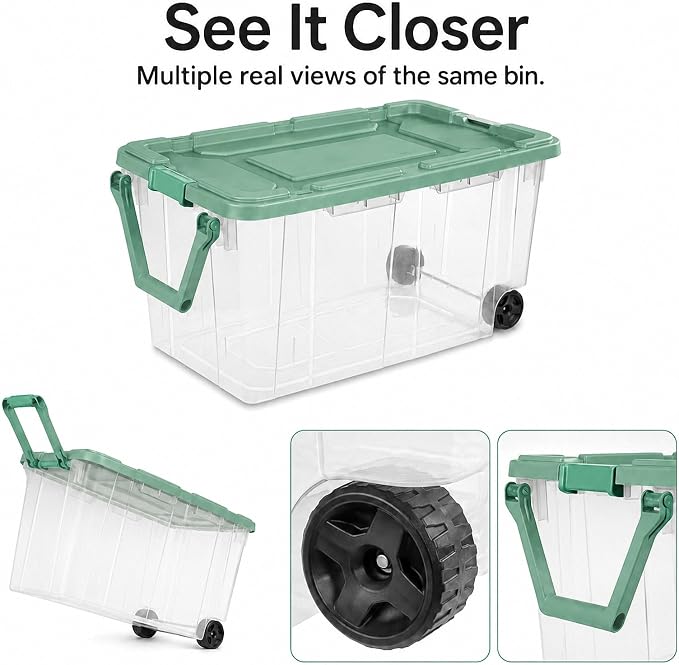 Clear Green