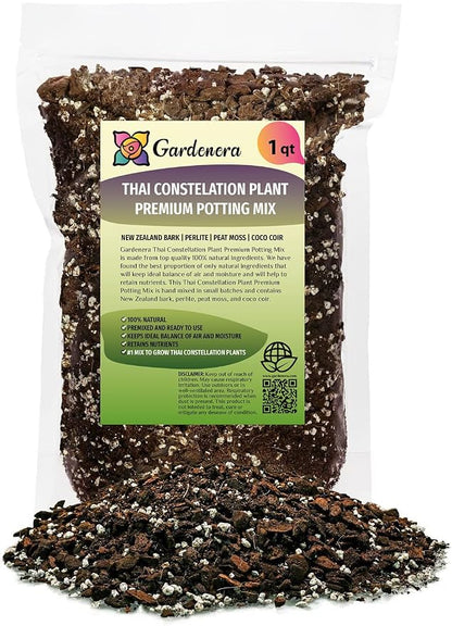 Thai Consteallation Monstera Soil Blend