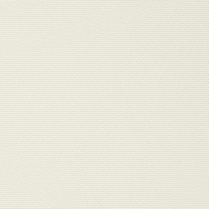 Beige and Cream White