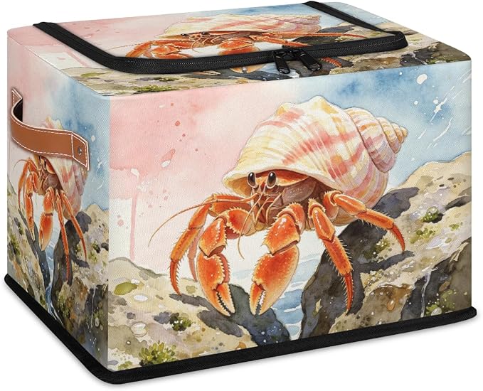 Hermit Crab