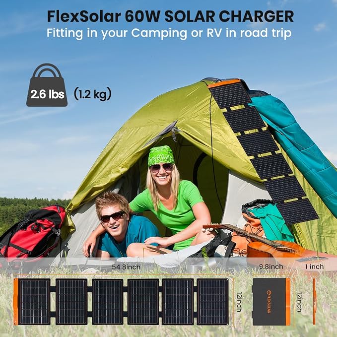 60W