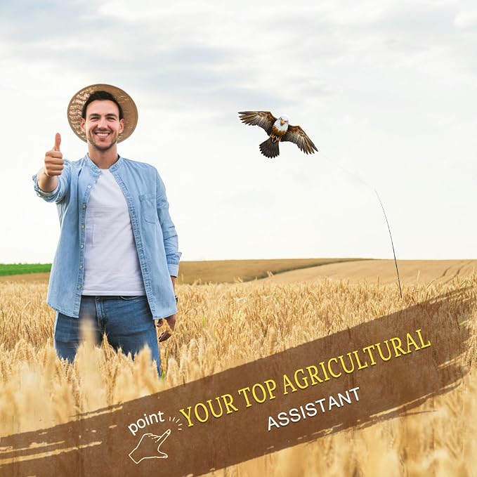 eagle kite with 4m pole