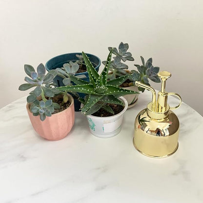 10oz/Gold color