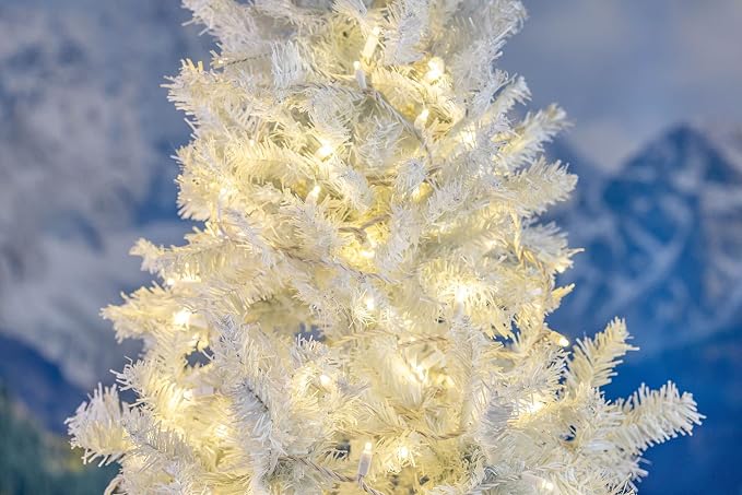 Warm White