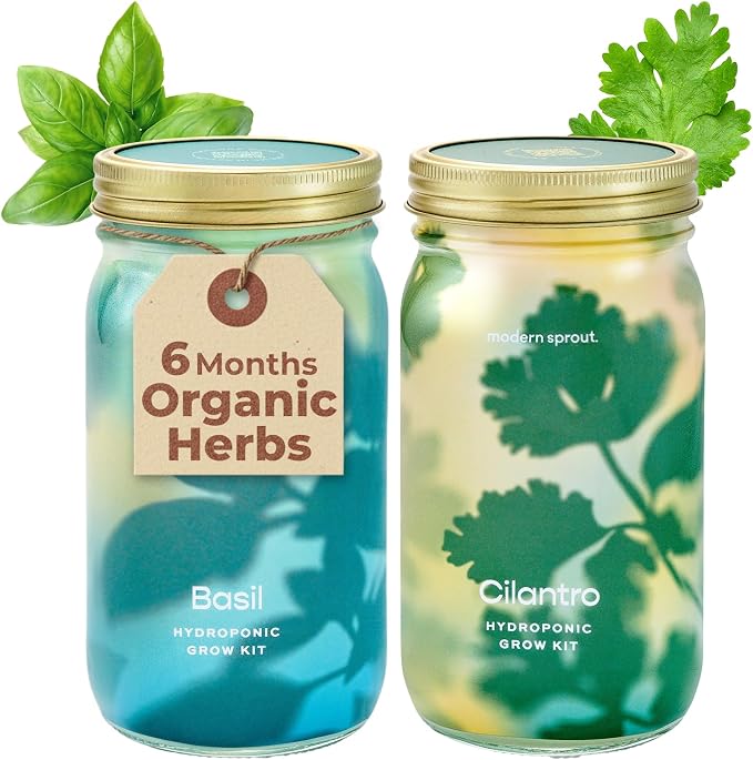 Basil+cilantro