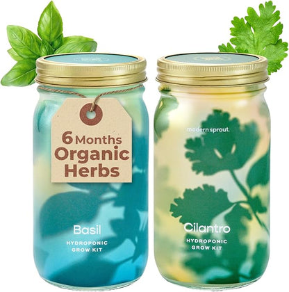 Basil+cilantro