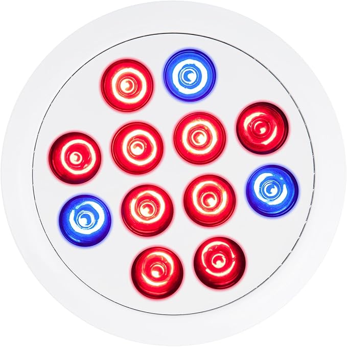 __DEFAULT__