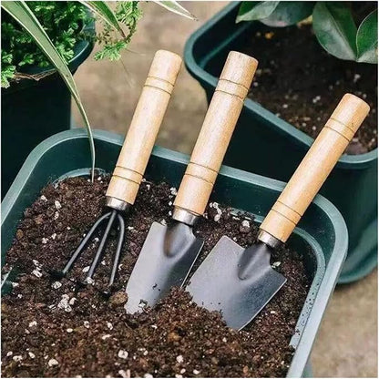 3pcs