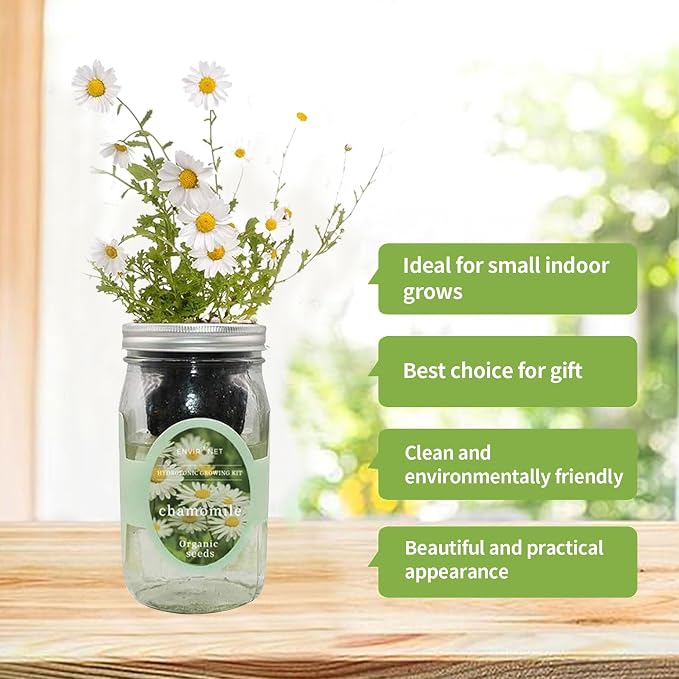 Chamomile