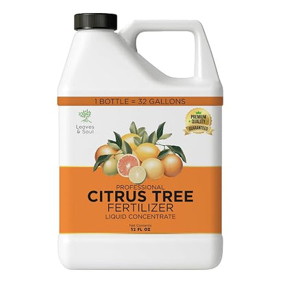 Citrus Plant