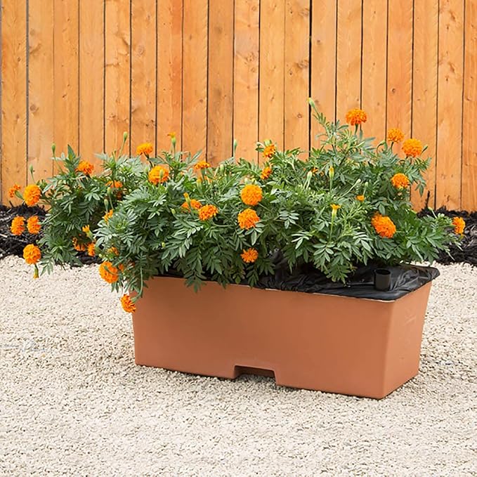 Terra Cotta