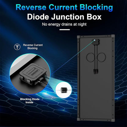 Black 100W*2