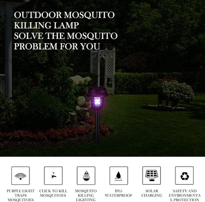 Retro Black Exterior,Purple, White Light