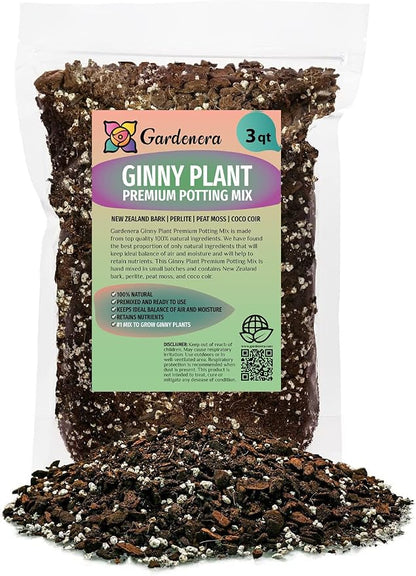 Monstera Ginny Plant Soil Mix