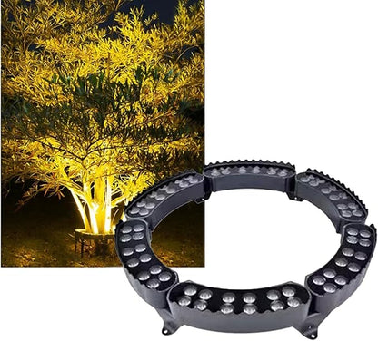 Yellow light