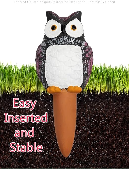 __DEFAULT__