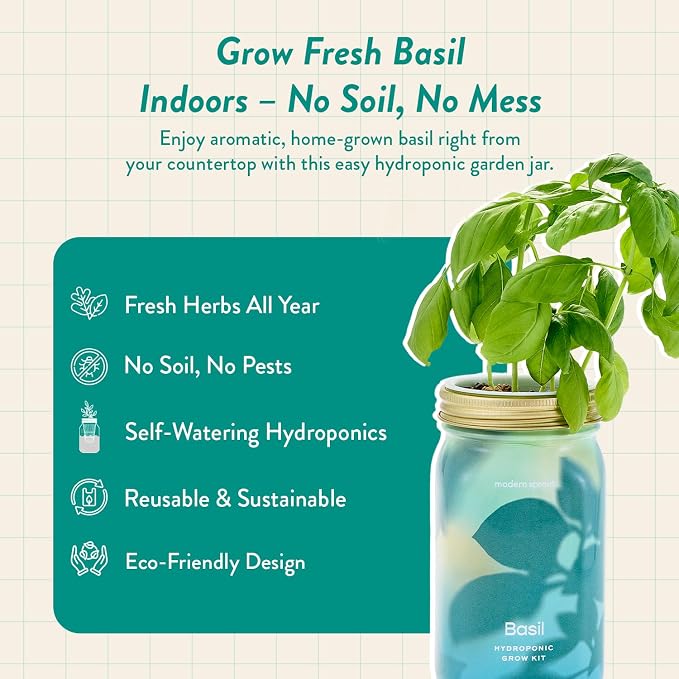 Basil