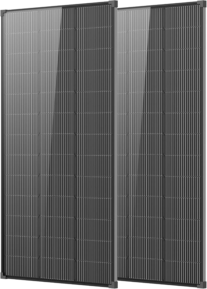 Black 200W*2